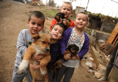 "TO JE VELIKO ZLO!" Suzana iz Banjaluke ima DESETORO MALIŠANA, a za praznike im je OVO STROGO ZABRANJENO