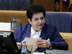 Majkić: Srbi ne dozvoljavaju stvaranje unitarne BiH i antiustavno djelovanje