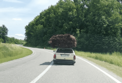 ČUDAN TOVAR Pogodite šta se nalazi na krovu ovog vremešnog automobila