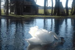 BiH POSJETILO 458.505 GOSTIJU Prošle godine manje turista za više od 70 odsto