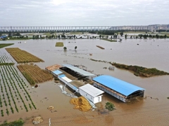 Velike poplave u Kini: Ima žrtava (VIDEO)