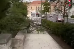 Olujni jugo u Šibeniku čupao stabla i nosio krovove (VIDEO)