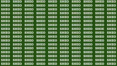 Samo 1% ljudi s najoštrijim vidom može pronaći riječ “SHOE”