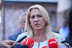 Ukazom Željke Cvijanović od srijede Inckov zakon prestaje da važi u RS