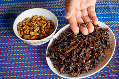 Singapur odobrio konzumaciju 16 vrsta insekata, uključujući skakavce i cvrčke