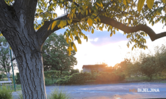 Sutra promjenjivo sa sunčanim periodima: Najviša dnevna temperatura 20 stepeni