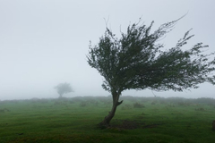 Žuto upozorenje zbog jakih udara vjetra u BiH