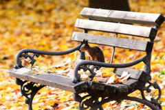 Pretežno oblačno i toplije