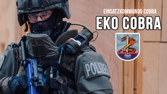 Austrijska policija ima specijalnu jedinicu koja se bavi samo kriminalcima sa Balkana