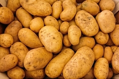 I krompir na meti lopova, ukrali 120 kilograma