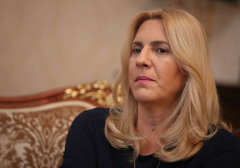 "Krah međunarodne zajednice i BiH kao države" Cvijanovićeva razočarana zbog Inckove odluke