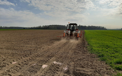 RATARI NA MUKAMA! Nestašica sjemenskog kukuruza