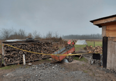 "SINE MOJ JEDINI" Detalji stravične tuče rođaka kod Omarske