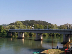 Policija snimila NEOBIČNO STVORENJE na granici BiH i Hrvatske: Prepoznajete li o kome je reč? /FOTO/