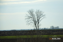 Vremenska prognoza: Narednih dana promjenljivo i hladno