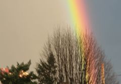 MJEŠTANI GRADIŠKE IZNENAĐENI LJEPOTOM Pojavila se duga na Badnji dan