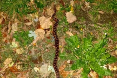 Poskok uznemirio Banjalučane