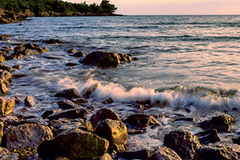 Užas u Crnoj Gori: Psa vezali tegom pa ga bacili u more