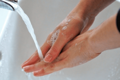 Korona se na koži zadržava devet sati, uništava se alkoholom za 15 minuta