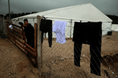 ZATVARANJE "LIPE" I DALJE NEIZVJESNO Rozić: Čeka se odluka Saveta ministara