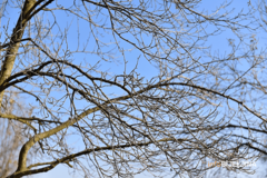 Kakvo će vrijeme biti u BiH do kraja dana