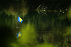 Prelamaju se RAZLIČITI INTERESI: Gubi li međunarodna zajednica kompas u BiH