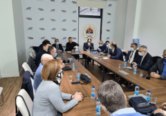 RASPUŠTENI ODBORI U BIJELJINI I KOZARSKOJ DUBICI Predsjedništvo DNS iz članstva isključilo Tadića, Popovića i Cvijetinovića