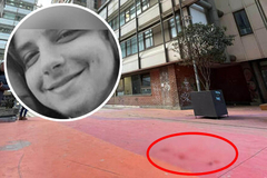 VIŠE DETALJA O JUTROŠNJOJ TRAGEDIJI Sin srpske političarke izvršio samoubistvo