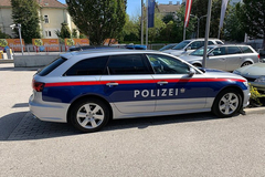 Austrijanac u podrumu držao mumificiranu majku da ne izgubi penziju