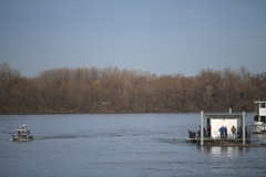 Tijelo nepoznate osobe izvučeno iz rijeke Save u Beogradu