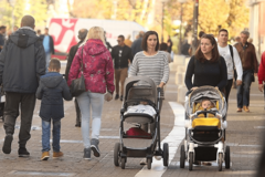 TEŽINA I ZDRAVLJE Zašto je hodanje toliko važno, i kako se kretati više