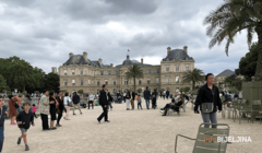 Francuski ministar zbog veza s ekstremizmom najavio provjeru 76 džamija