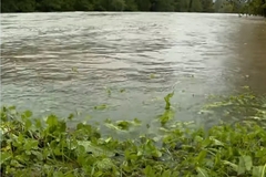 Sava se počela izlivati u Zagreb /VIDEO/