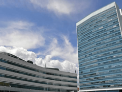 Savjet ministara o nabavci vakcina i oblasti migracija i azila