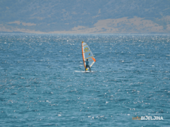 KLIMATSKI TRENDOVI Kakvo ljeto očekuje Evropu