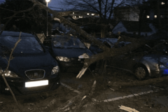 Vjetar pravi štetu u Banjaluci, stabla pala na parkirane automobile