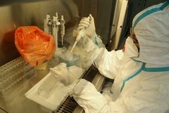 Bez žrtava zaraze: Na korona virus pozitivno još 20 osoba u FBiH