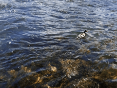 Sunčano, temperatura do 18 stepeni