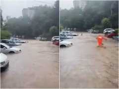 Nevjerovatne scene iz Beograda: Radnici "Gradske čistoće" spasavali ženu iz nabujale vode koja je tekla ulicom (VIDEO)