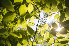 Vrijeme danas sunčano i toplo, poslije podne pljuskovi