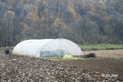 Pašalić: Više od 200 miliona KM potencijalnih sredstava za poljoprivredu