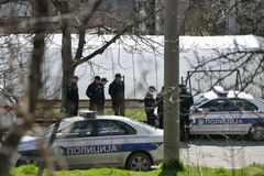 MUP Srbije: Muškarci iz Bora priznali ubistvo male Danke