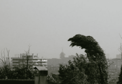 Jak vjetar u Banjaluci, Foči, Treninju i Višegradu