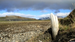 Dok se permafrost u Sibiru topi, naučnici se dive mamutskom blagu