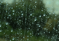 UPALJEN METEOALARM Narandžasto upozorenje za Trebinje i Foču zbog kiše, u nekoliko gradova se očekuju udari vjetra