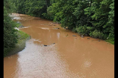 Šta je uzrok neprirodno zamućene Ukrine