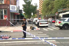 Krvavi napad u Americi: Troje mrtvih, osmoro ranjeno (FOTO, VIDEO)