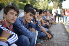 IOM objavila podatke: Ovi gradovi u BiH su najčešća ruta migranata na EU