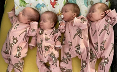 Četvorke konačno na okupu: Za roditelje počinju najslađe muke