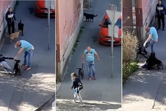 Uznemirujući snimak / Muškarac u Zemunu nasred ulice pretukao ženu i njenog psa